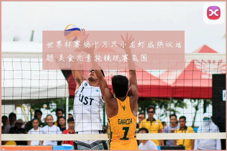世界杯赛场十万只小龙虾成热议话题 美食元素抢镜观赛氛围